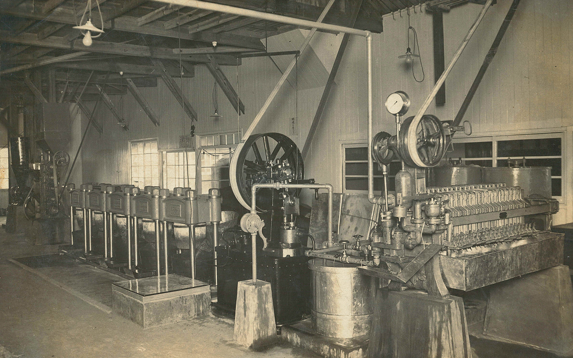 工場設立と椿油研究イメージ