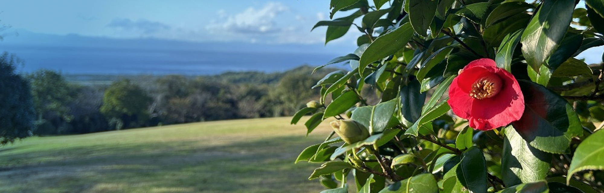 この国の、美と暮らす。イメージ