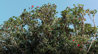 未来への取り組み