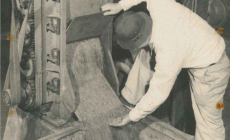 粉砕機で種子を砕く